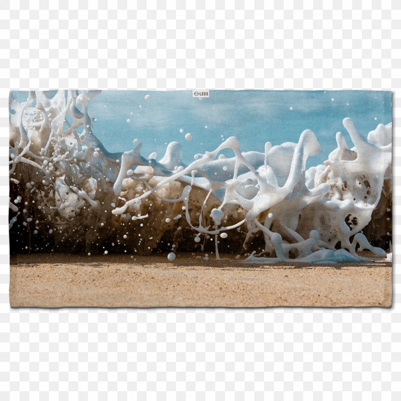 Towel Brian Bielmann Photography Photographer Glass, PNG, 1024x1024px, Towel, Beach, Cloth Napkins, Cotton, Fauna Download Free