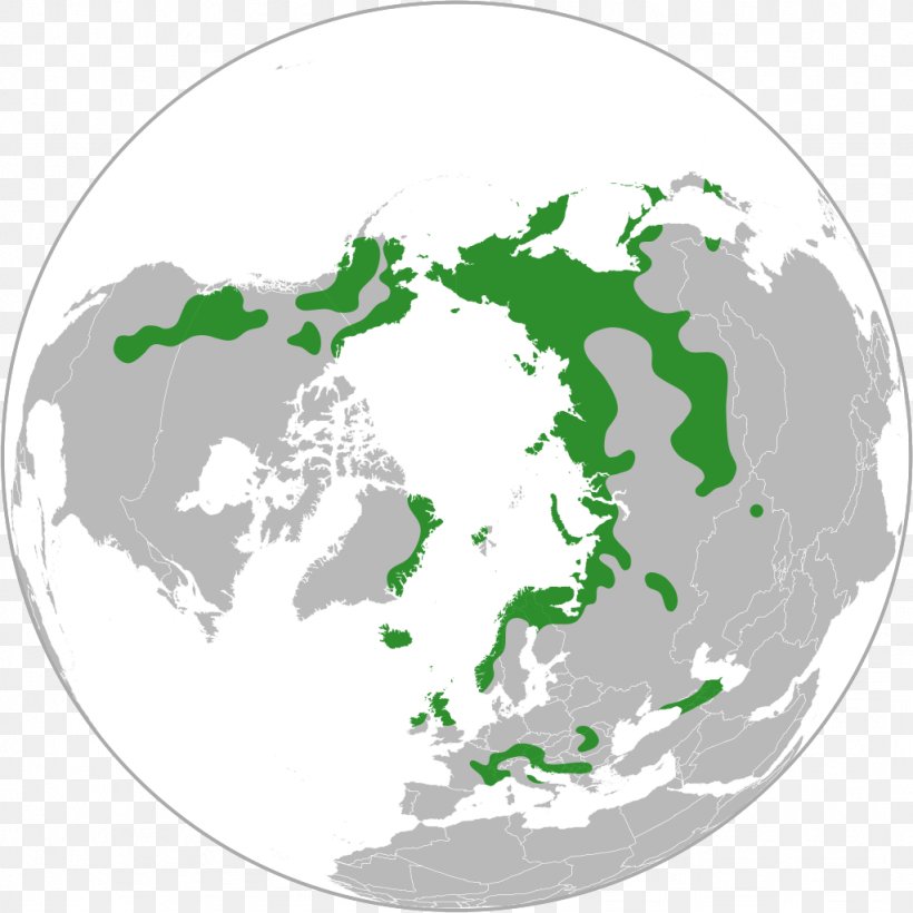 Arctic United States North Pole Earth, PNG, 1024x1024px, Arctic, Art, Earth, Geographical Pole, Green Download Free