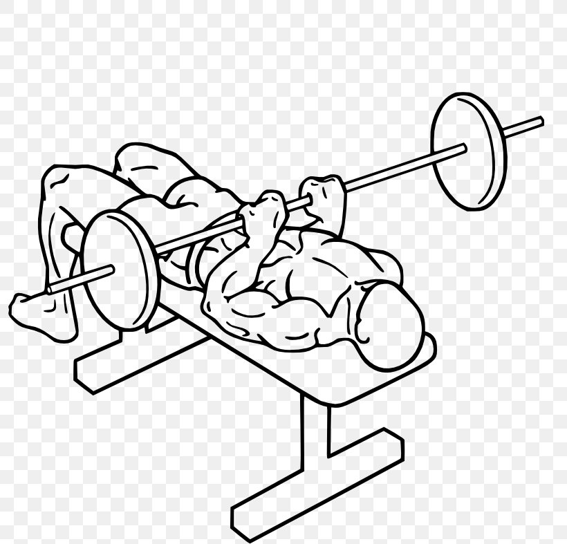Bench Press Triceps Brachii Muscle Barbell Exercise, PNG, 800x787px, Watercolor, Cartoon, Flower, Frame, Heart Download Free