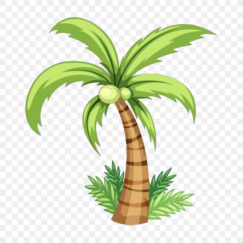 Coconut Drawing Clip Art, PNG, 2222x2222px, Coconut, Arecaceae, Arecales, Coconut Oil, Flowerpot Download Free