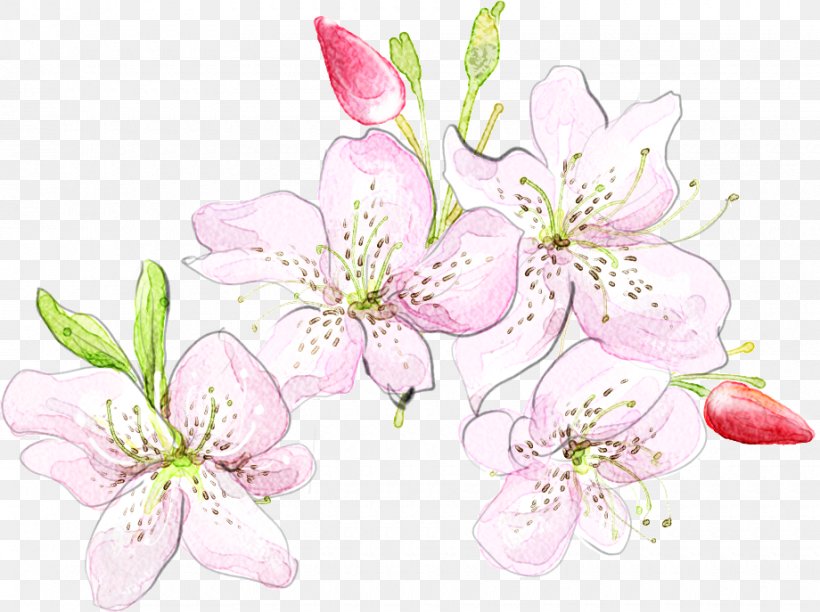 Floral Design Oil Painting Watercolor Painting, PNG, 920x687px, Floral Design, Blossom, Branch, Cherry Blossom, Designer Download Free