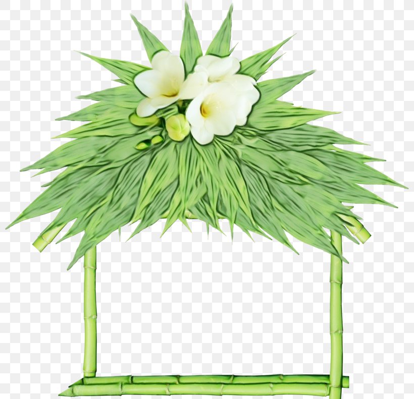 Green Grass Background, PNG, 800x791px, Floral Design, Anthurium, Artificial Flower, Cartoon, Cut Flowers Download Free