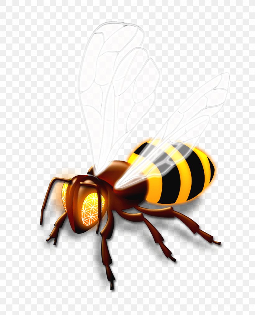 Honey Bee Hornet Wasp, PNG, 900x1113px, Honey Bee, Arthropod, Bee, Fly, Honey Download Free
