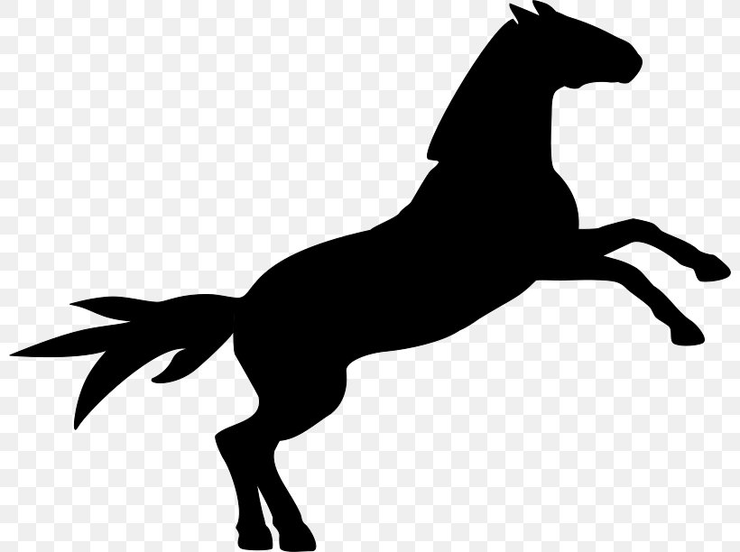 Horse Clip Art, PNG, 800x612px, Horse, Black, Black And White, Collection, Colt Download Free