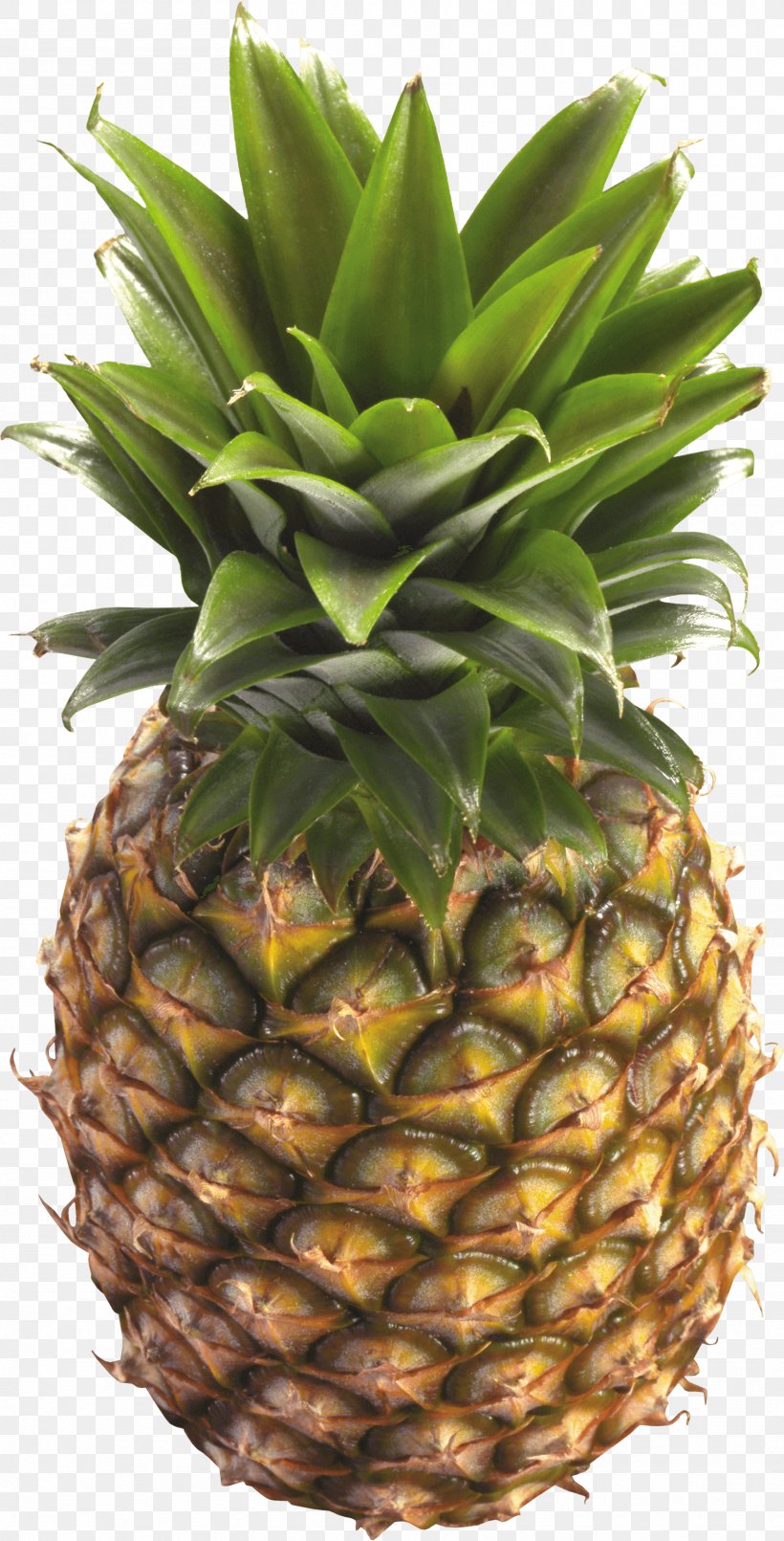 Juice Pineapple Clip Art, PNG, 1768x3475px, Juice, Ananas, Berry, Bromeliaceae, Food Download Free
