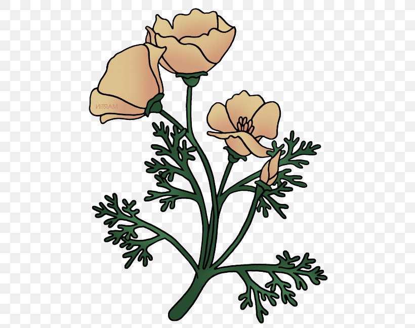 Rose, PNG, 496x648px, Flower, Branch, Cut Flowers, Pedicel, Petal Download Free