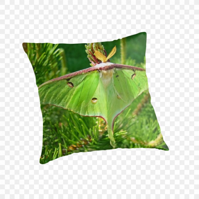 Throw Pillows Cushion, PNG, 875x875px, Throw Pillows, Butterfly, Cushion, Grass, Insect Download Free