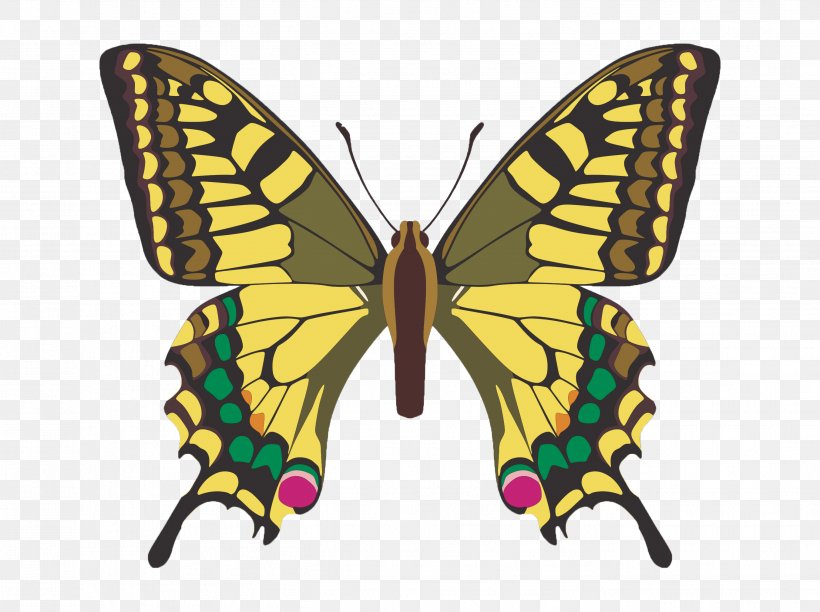 Butterfly Insect Clip Art, PNG, 2704x2021px, Butterfly, Arthropod, Brush Footed Butterfly, Insect, Invertebrate Download Free