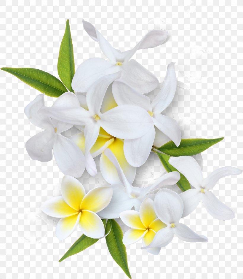 Flower Clip Art, PNG, 1045x1200px, Flower, Blume, Branch, Cut Flowers, Floral Design Download Free