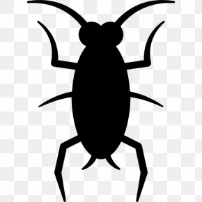 Cockroach - Insect Cockroach Clip Art PNG