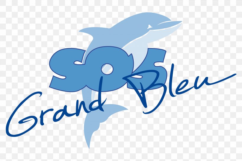 Logo Navire Santo Sospir SOS Grand Bleu Marine Mammal Graphic Design Desktop Wallpaper, PNG, 3000x2000px, Watercolor, Cartoon, Flower, Frame, Heart Download Free