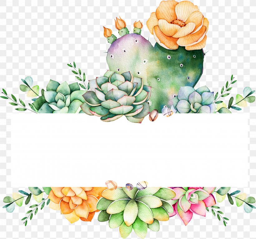 Watercolor Flower Background, PNG, 3600x3357px, Cactus, Art, Cut Flowers, Drawing, Echeveria Download Free