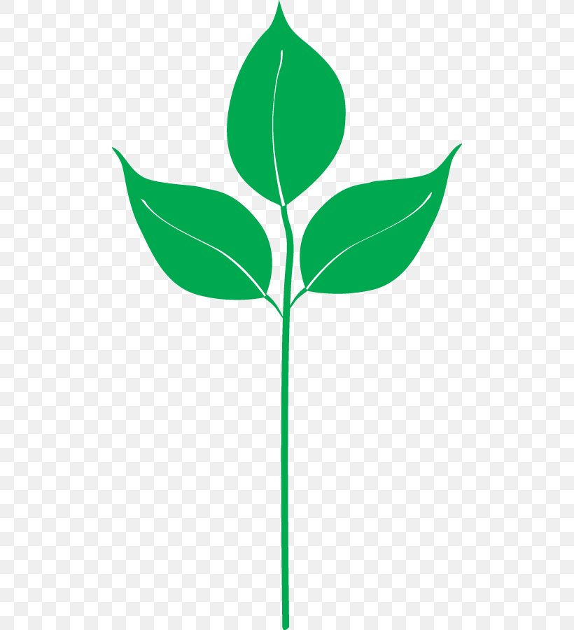 Clip Art Plant Stem Leaf Flowering Plant Line, PNG, 500x900px, Plant Stem, Botany, Branching, Flower, Flowering Plant Download Free