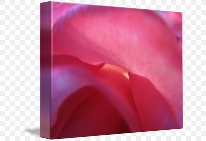 Close-up Lip, PNG, 650x560px, Closeup, Close Up, Flower, Lip, Macro Photography Download Free