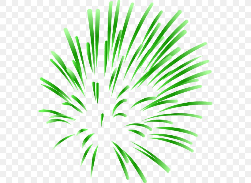 Fireworks, PNG, 568x599px, Fireworks, Animation, Arecales, Cartoon, Grass Download Free
