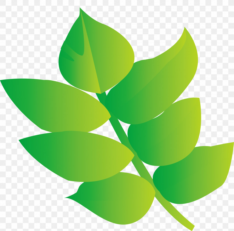 Green Leaf Plant Logo Flower, PNG, 3000x2959px, Green, Flower, Leaf, Logo, Plant Download Free