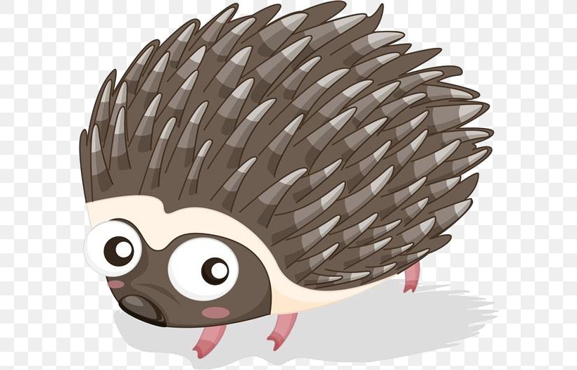 Hedgehog Cartoon Porcupine Illustration, PNG, 600x526px, Hedgehog, Beak, Cartoon, Drawing, Echidna Download Free