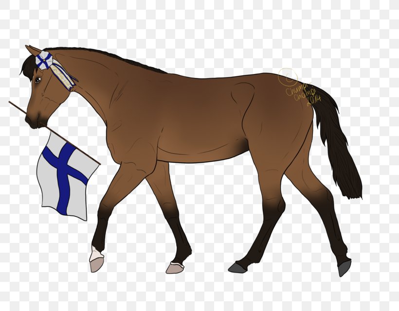 Mane Rein Stallion English Riding Mare, PNG, 800x640px, Mane, Animal Figure, Bridle, Colt, English Riding Download Free