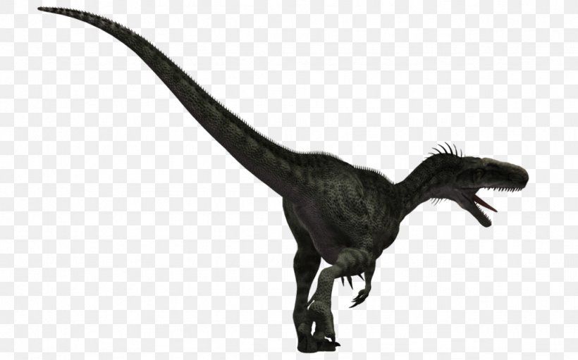 Monolophosaurus Velociraptor Majungasaurus Aardonyx Apatosaurus, PNG, 1024x639px, Monolophosaurus, Aardonyx, Antarctosaurus, Apatosaurus, Black And White Download Free