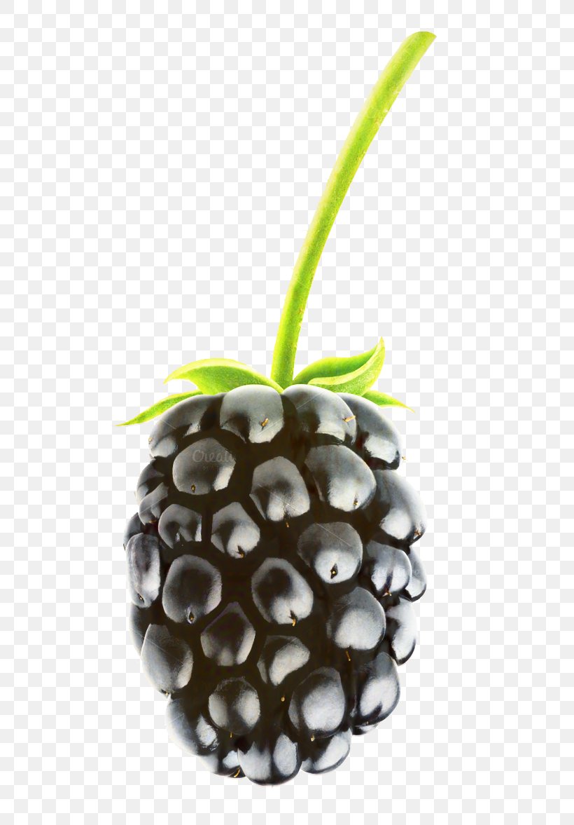 Pineapple Cartoon, PNG, 680x1177px, Blackberry Pie, Accessory Fruit, Ananas, Berries, Berry Download Free