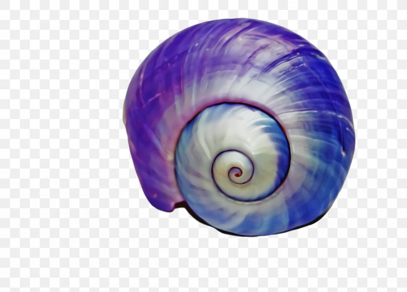 Purple Sea Snail Snail Violet Shell, PNG, 2360x1696px, Purple, Nautilus, Sea Snail, Shell, Snail Download Free