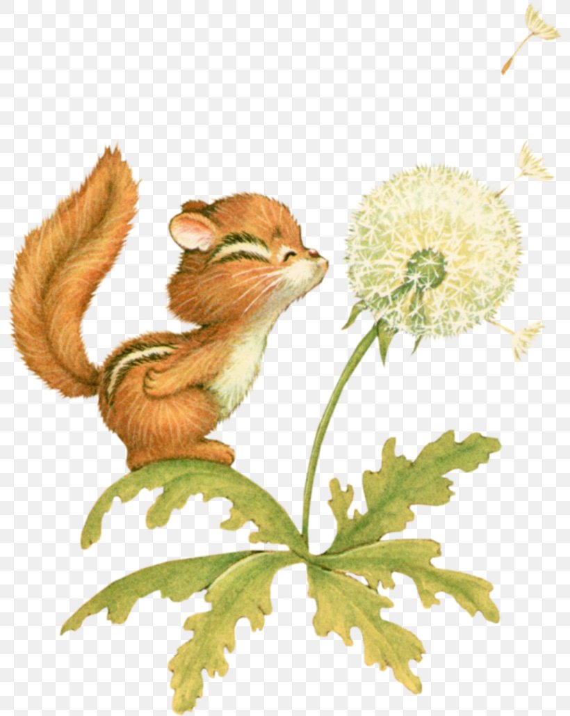 Whiskers Chipmunk Cat Squirrel Flowering Plant, PNG, 800x1029px, Whiskers, Carnivoran, Cat, Cat Like Mammal, Character Download Free