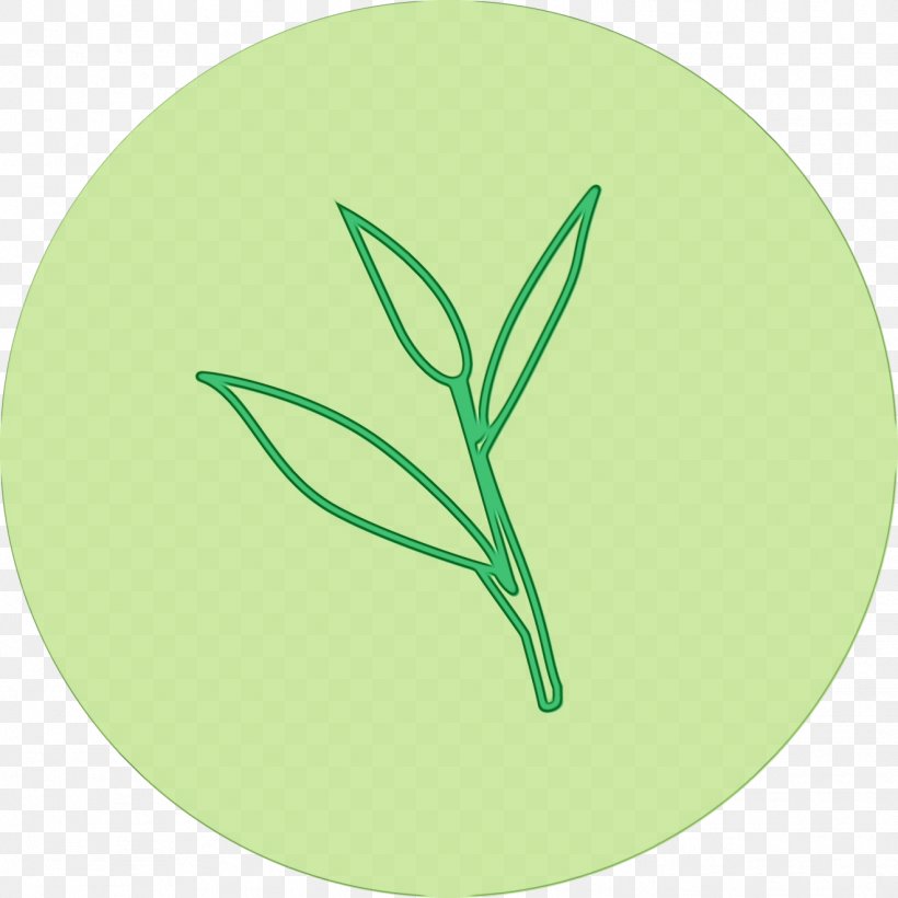 Green Leaf Watercolor, PNG, 1321x1321px, Watercolor, Botany, Commodity, Flower, Grass Download Free