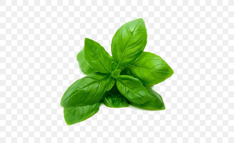 Lemon Basil Herb Vegetable Arugula, PNG, 500x500px, Basil, Arugula, Cooking, Food, Grocery Store Download Free