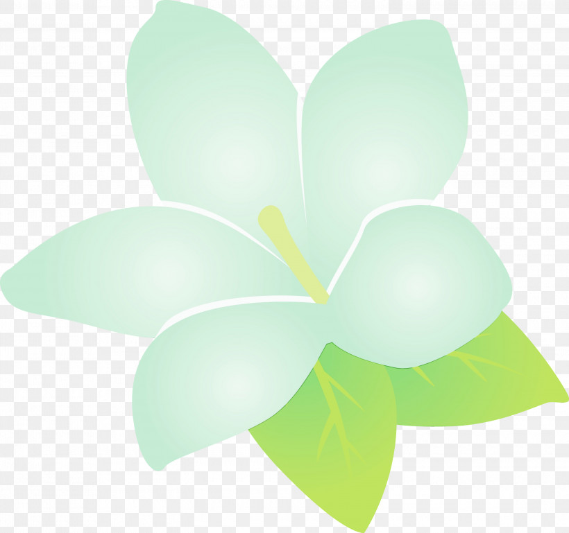 Plant Stem Leaf Flower Petal Green, PNG, 3000x2814px, Jasmine, Biology, Flower, Green, Jasmine Flower Download Free