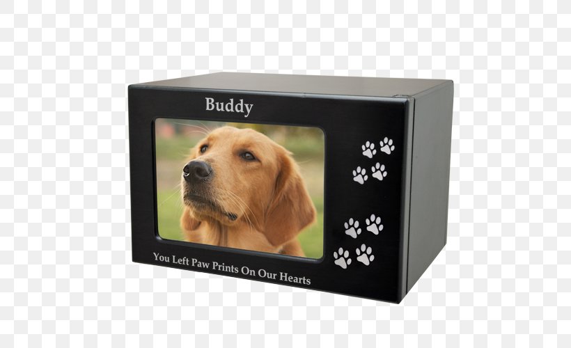 Puppy Golden Retriever Picture Frames Companion Dog, PNG, 500x500px, Puppy, Box, Cat, Companion Dog, Dog Download Free