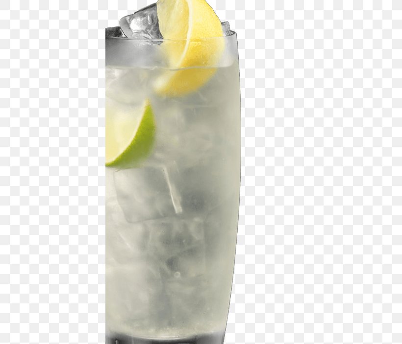 Rickey Gin And Tonic Vodka Tonic Sea Breeze Caipiroska, PNG, 390x703px, Rickey, Batida, Caipiroska, Cocktail, Cocktail Garnish Download Free