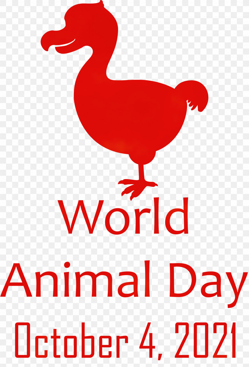 Birds Duck Chicken Fever Beak, PNG, 2030x3000px, World Animal Day, Animal Day, Beak, Birds, Chicken Download Free