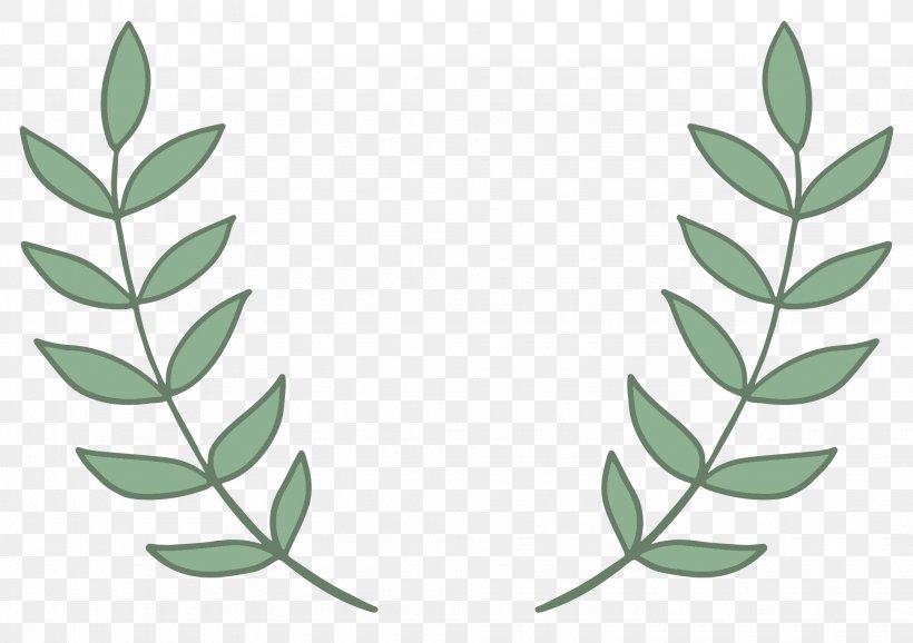 Clip Art Leaf Bay Laurel Olive Wreath Vector Graphics, PNG, 1950x1376px, Leaf, Bay Laurel, Branch, Cyber Monday, Grass Download Free