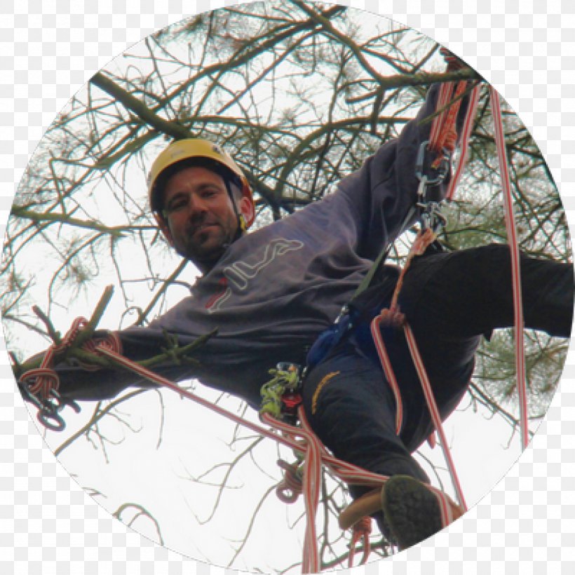 L'Arbonambule Recreation Tree Climbing Rope, PNG, 1500x1500px, Recreation, Climbing, Envy, Need, Rope Download Free