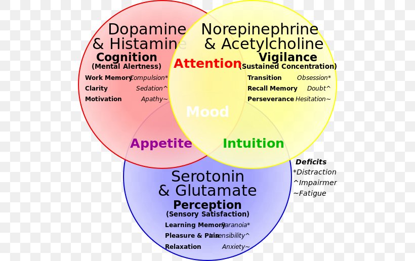 Neurotransmitter Serotonin–norepinephrine–dopamine Reuptake Inhibitor Serotonin–norepinephrine–dopamine Reuptake Inhibitor, PNG, 512x516px, Neurotransmitter, Area, Brain, Brand, Catecholamine Download Free