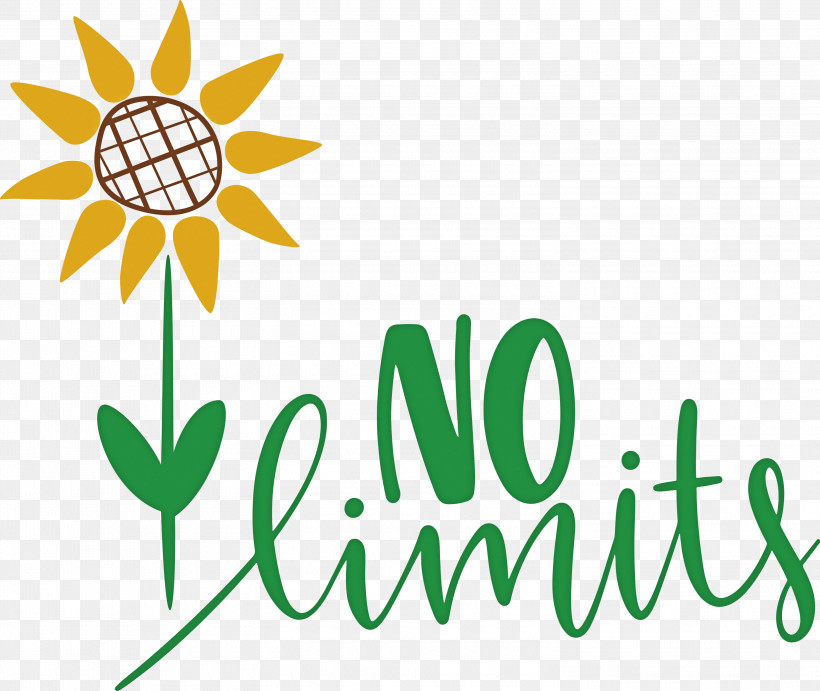 No Limits Dream Future, PNG, 3000x2531px, No Limits, Cut Flowers, Dream, Floral Design, Flower Download Free