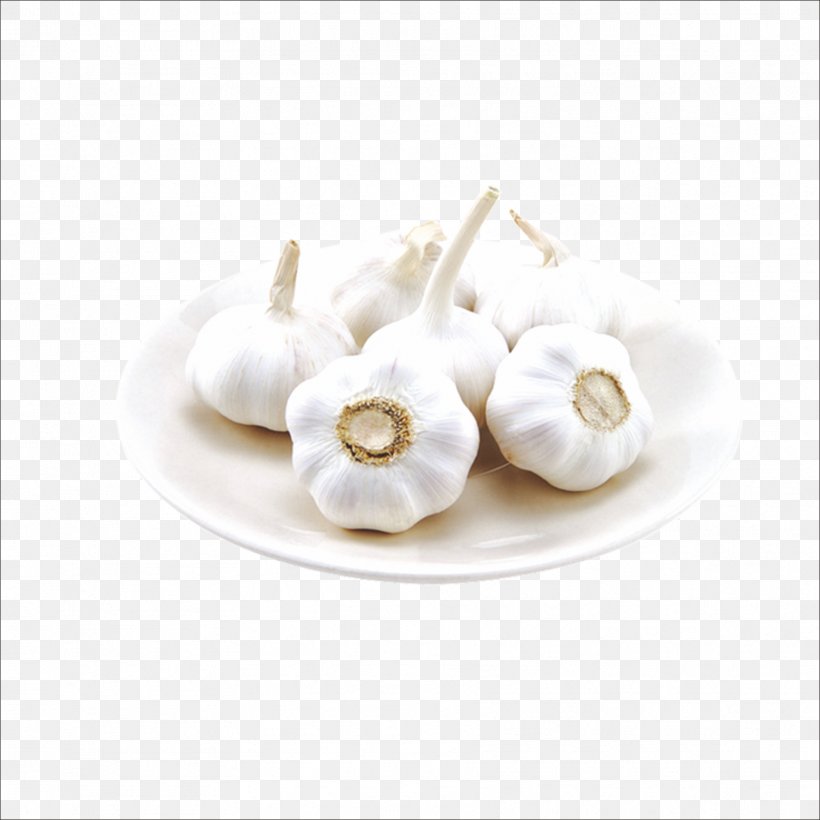 Solo Garlic Food Garlic Press Cooking Vegetable, PNG, 1773x1773px, Solo Garlic, Allium Fistulosum, Common Cold, Cooking, Cuisine Download Free