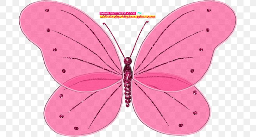 Blingee Photobucket, PNG, 700x439px, Blingee, Animation, Blog, Brush Footed Butterfly, Butterfly Download Free