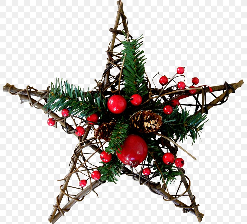 Christmas Decoration New Year Tree, PNG, 800x746px, Christmas, Birthday, Branch, Christmas Decoration, Christmas Ornament Download Free