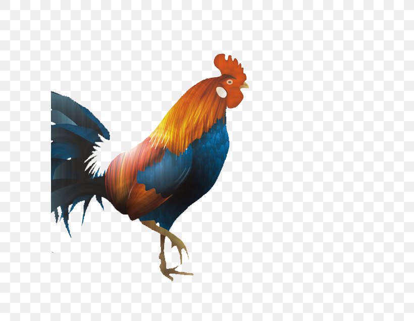 Dorking Chicken Broiler Rooster Chinese New Year, PNG, 617x636px, Dorking Chicken, Beak, Bird, Broiler, Chicken Download Free