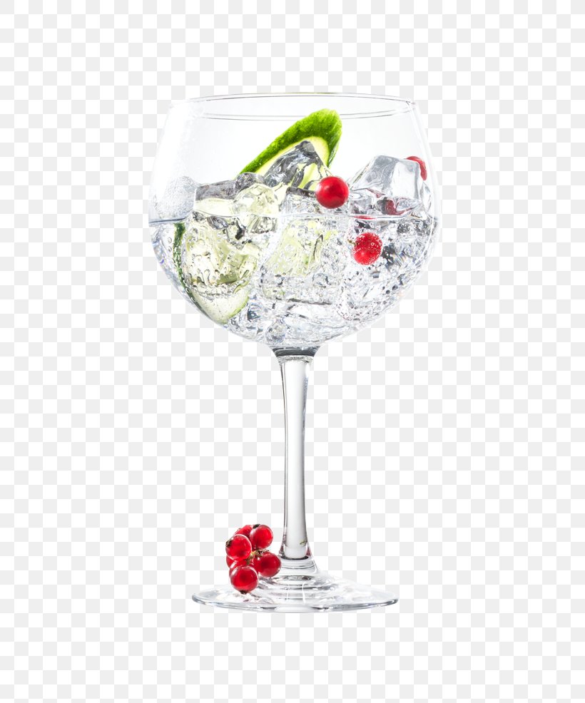 Gin And Tonic Cocktail Garnish Martini, PNG, 750x986px, Gin, Alcoholic Drink, Bacardi Cocktail, Botanicals, Brennerei Download Free