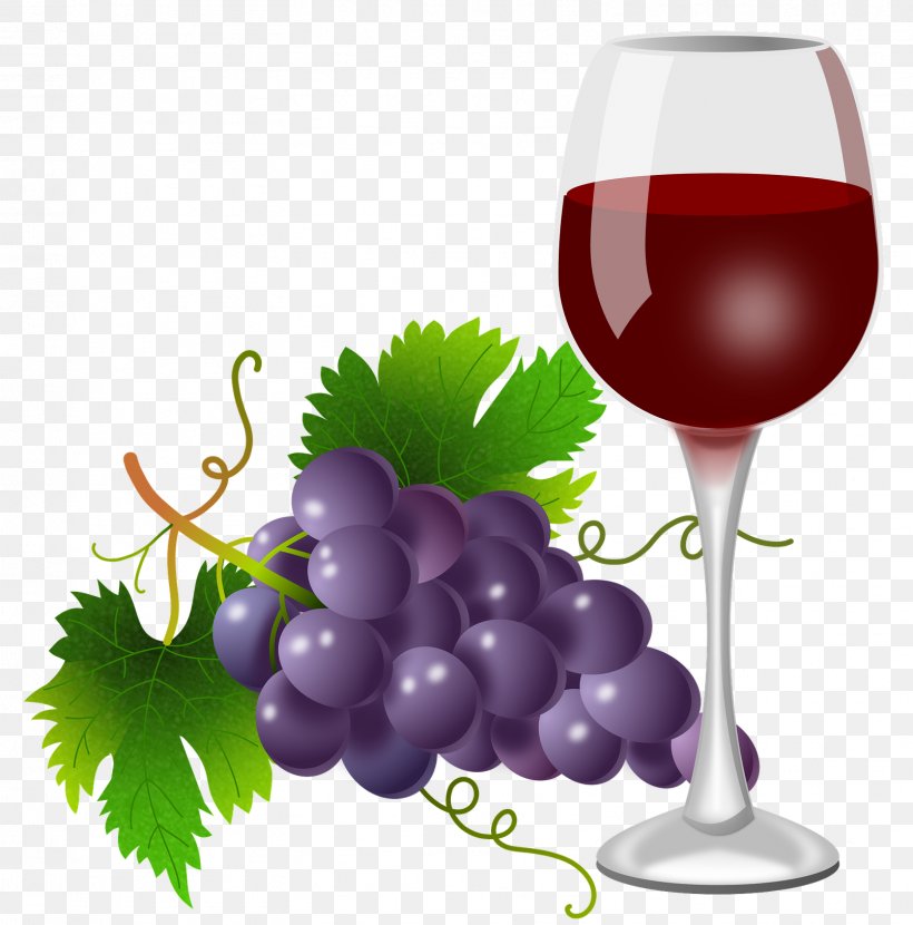 Red Wine Grape Clip Art Cabernet Sauvignon, PNG, 1608x1629px, Wine, Alcohol, Bottle, Cabernet Sauvignon, Champagne Download Free