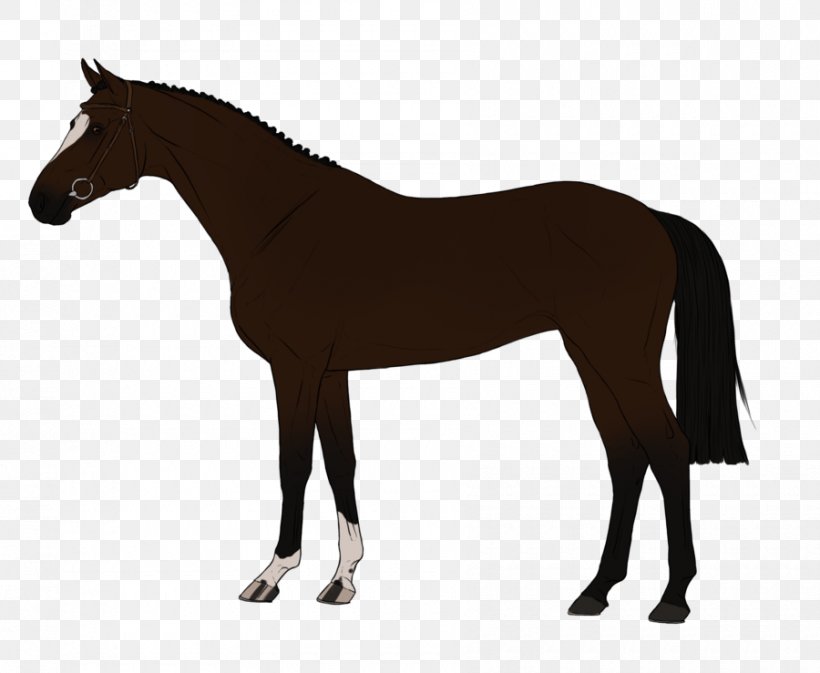 Thoroughbred Friesian Horse Stallion Black Horse Training, PNG, 900x739px, Thoroughbred, Animal Figure, Black, Bridle, Colt Download Free