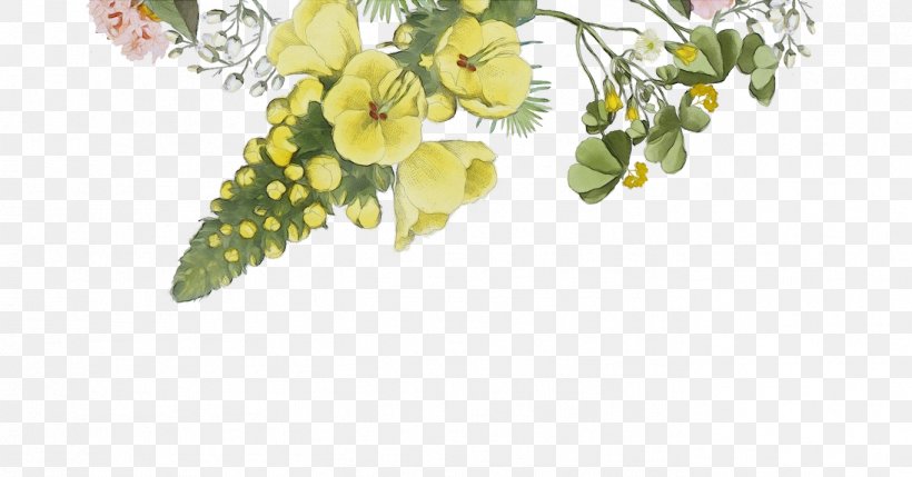 Flower Plant Yellow Flowering Plant Branch, PNG, 1366x716px, Watercolor, Blossom, Branch, Flower, Flowering Plant Download Free