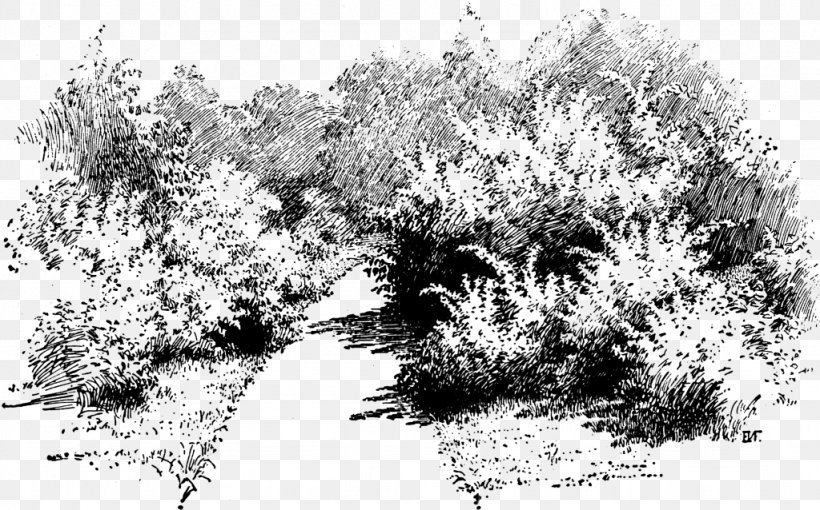 Pittock Mansion Drawing Design Shrub Illustration, PNG, 1024x638px, Pittock Mansion, Architectural Drawing, Architectural Plan, Architecture, Black White M Download Free