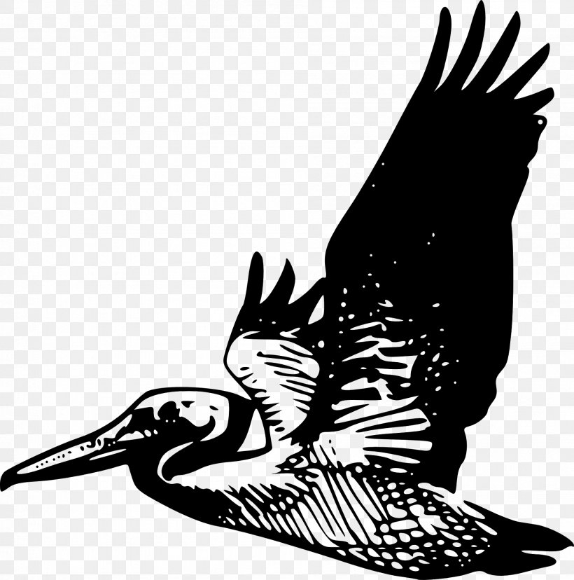 Silhouette Bird Brown Pelican Clip Art, PNG, 1901x1920px, Silhouette, Art, Beak, Bird, Bird Of Prey Download Free