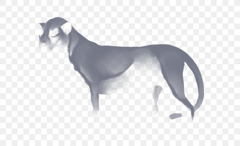 Whippet Dog Breed Italian Greyhound Felidae Cheetah, PNG, 640x500px, Whippet, Carnivoran, Cheetah, Dog, Dog Breed Download Free