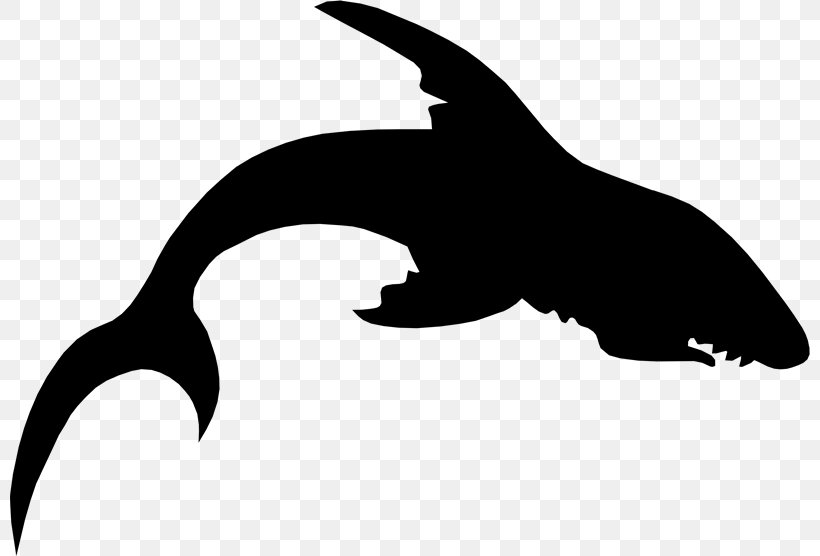Clip Art Fauna Silhouette Beak Black M, PNG, 800x556px, Fauna, Beak, Black M, Blackandwhite, Claw Download Free