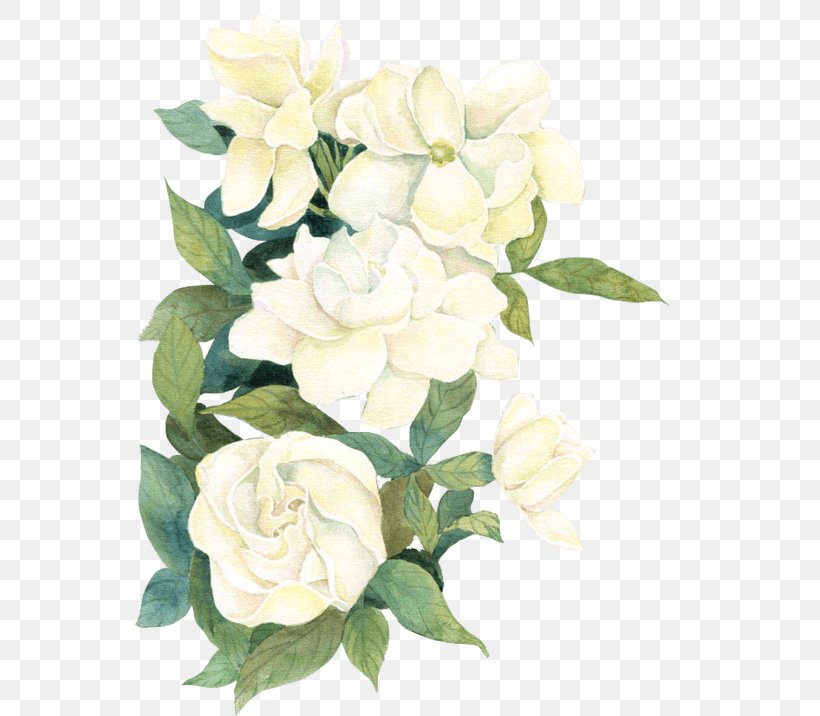 Floral Design Flower Rose Clip Art, PNG, 552x716px, Floral Design, Art, Artificial Flower, Cut Flowers, Drawing Download Free