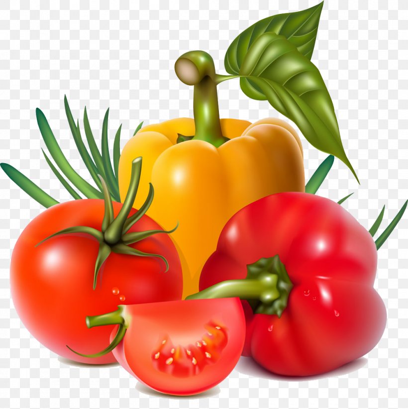 Vegetable Fruit Chili Pepper Clip Art, PNG, 997x1000px, Vegetable, Bell Pepper, Bell Peppers And Chili Peppers, Bush Tomato, Capsicum Download Free